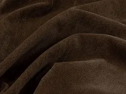 Atlant (koriza)