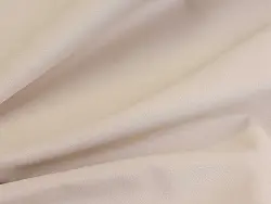 Fenix (milk)